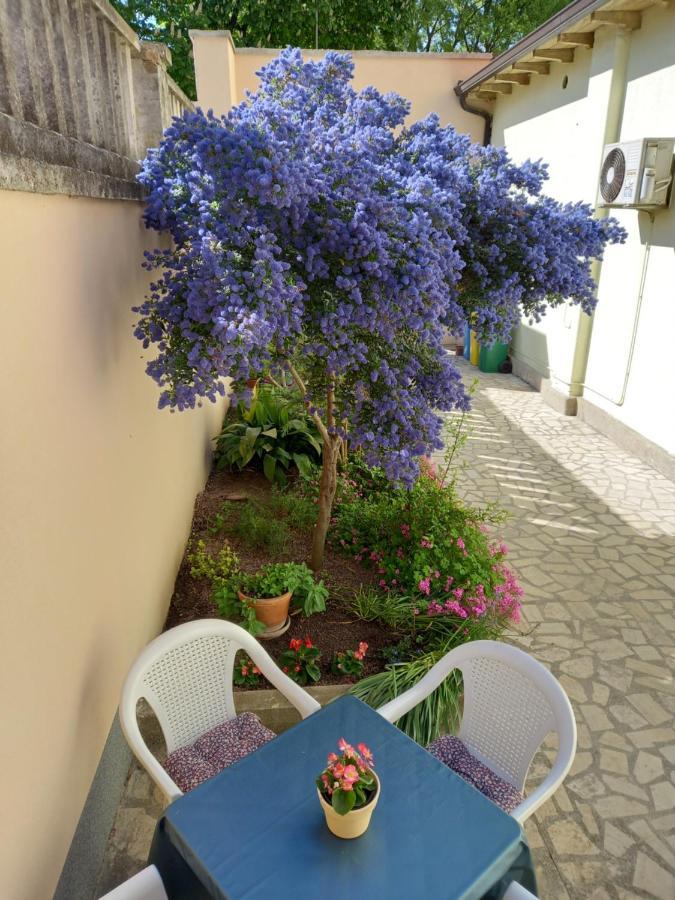 Apartment Punta PUY 외부 사진